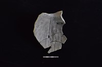 陶罐藏品圖，第2張